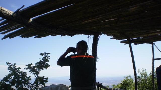 Bolotana, nasce il cammino degli aceri