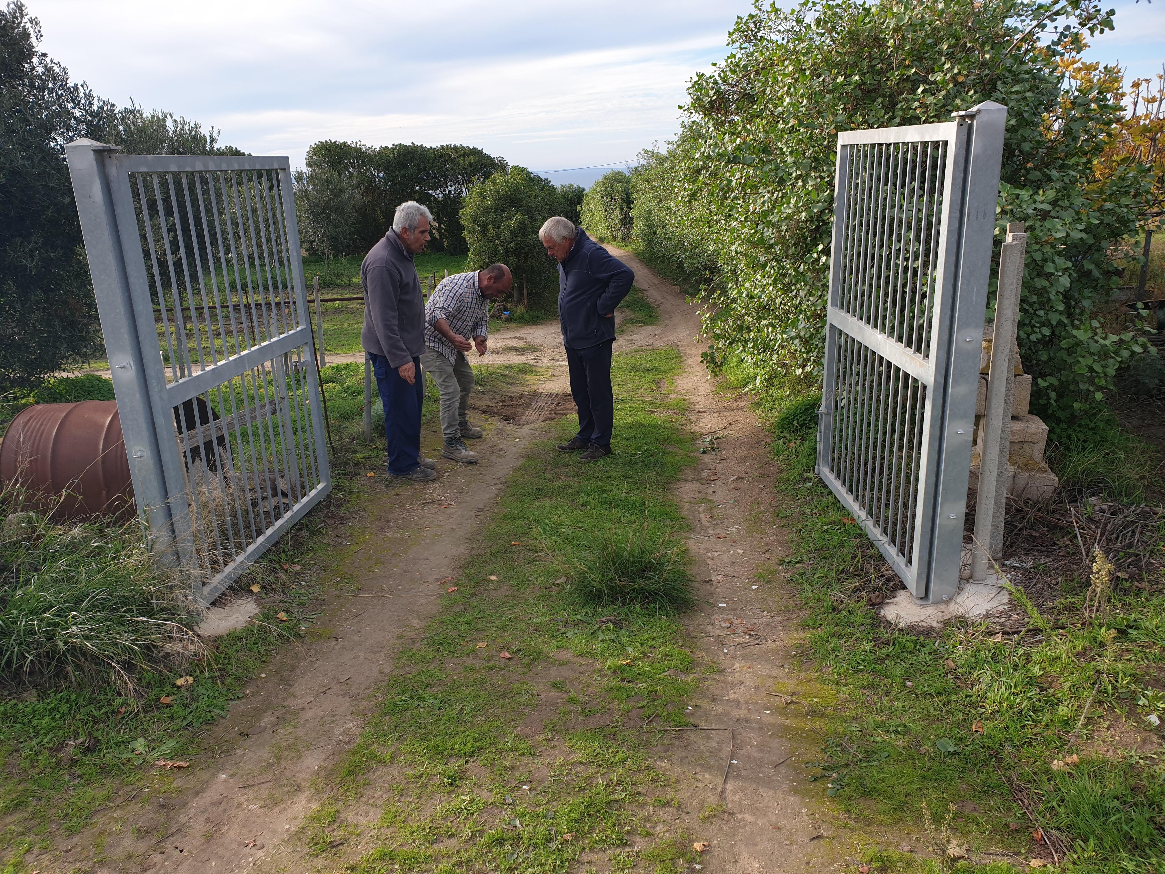 Il luogo dell'incidente che è costato la vita a Efisia Murtas (foto Ivan Nuvoli)