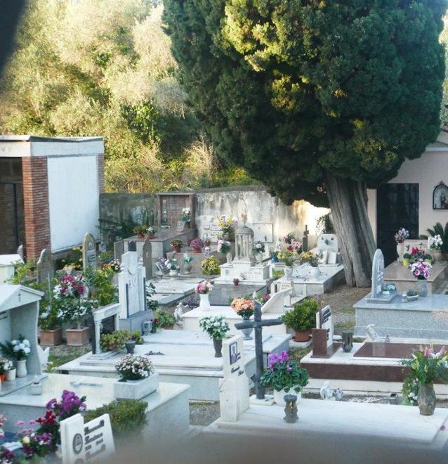 Cipresso si inclina Chiuso il cimitero