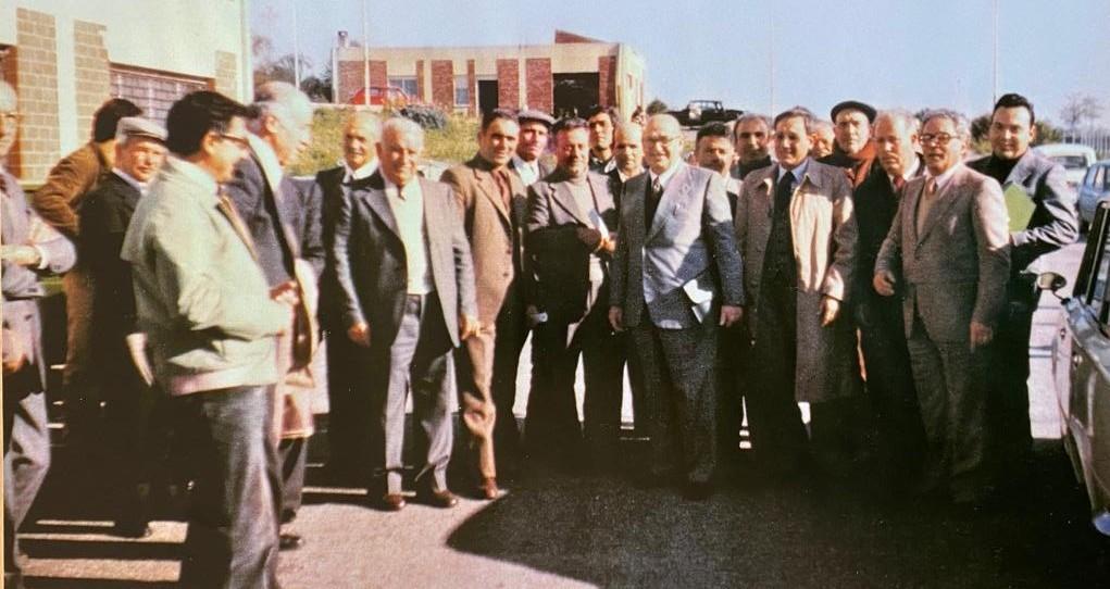 Pecorino romano Dop: il consorzio ha 40 anni 