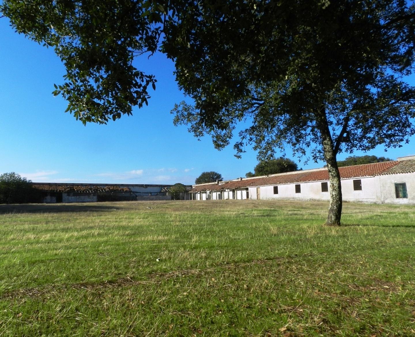 Prodotti tipici nel futuro di Su Dominariu 