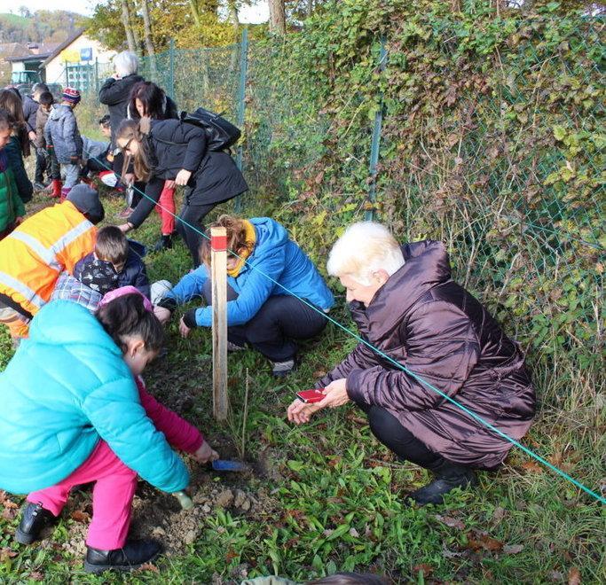 I bambini delle scuole piantano 250 nuove piante 