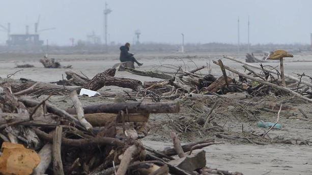 Dopo la piena del Po grandi cumuli di tronchi e rami sulle spiagge