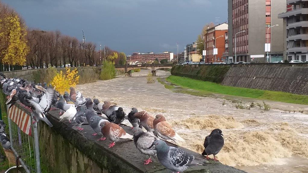 Il Bisenzio in piena dal ponte alla Vittoria