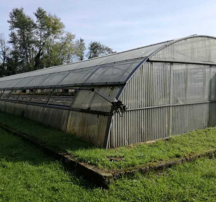 «Bisogna salvare l’Agrario, così rischia di chiudere»