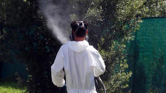Fondi per debellare le zanzare Misure per frenare la West Nile