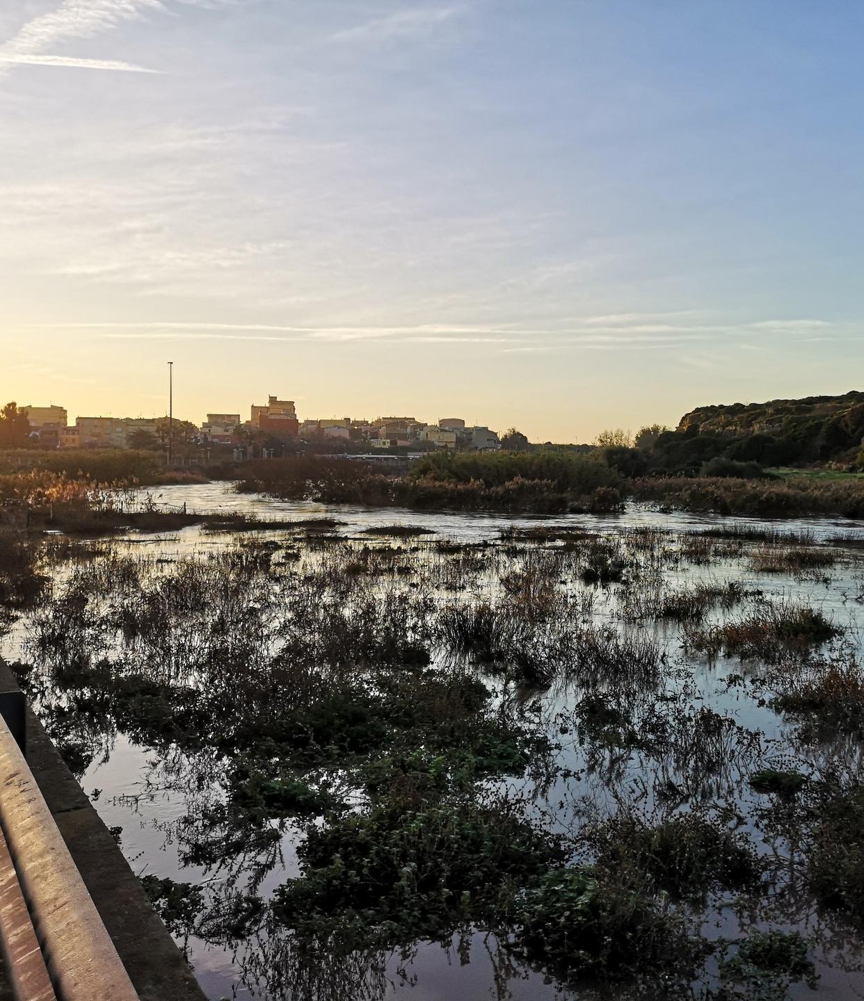 «Esondazione rio Mannu: aiuti per gli agricoltori» 