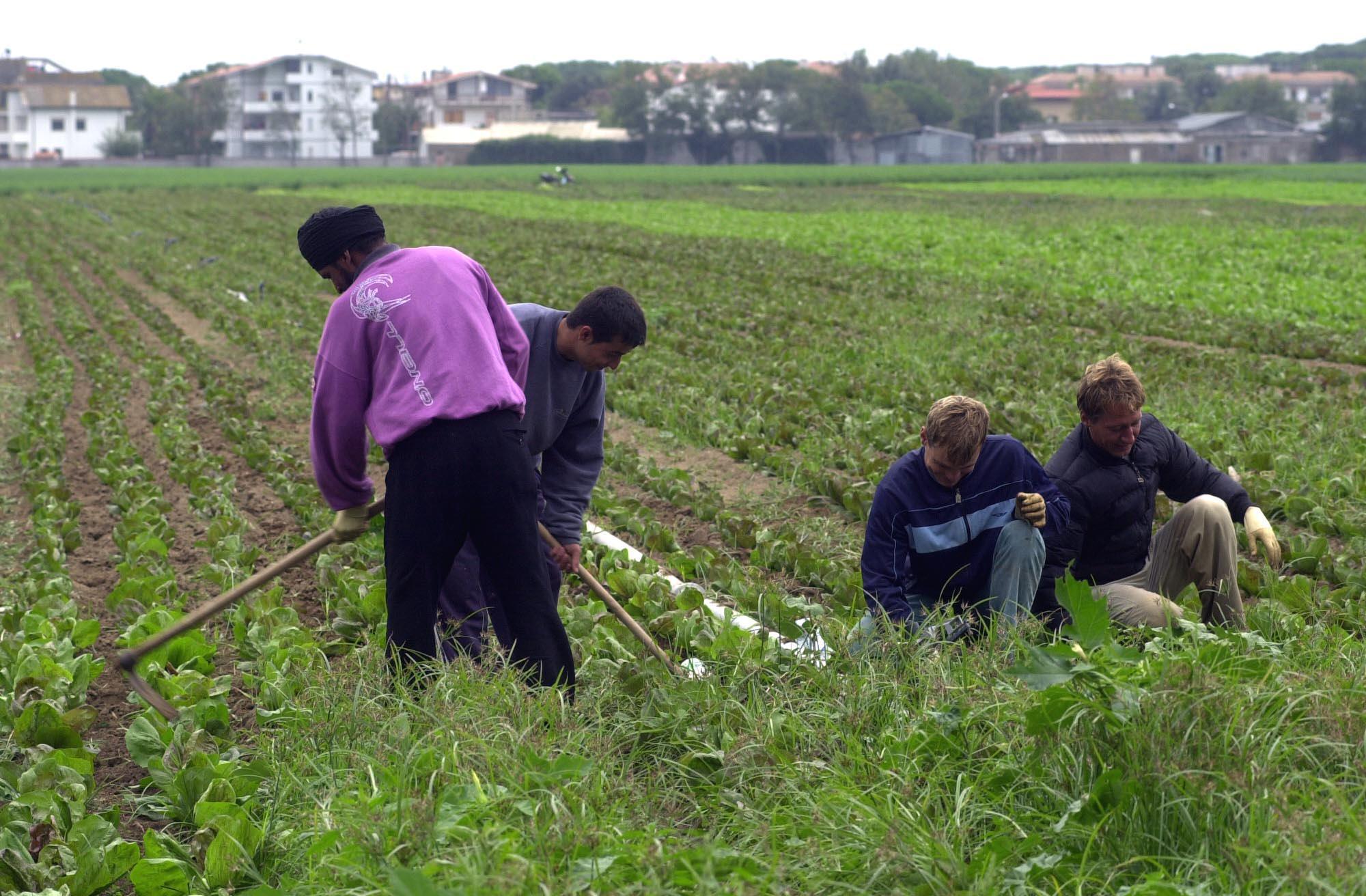 Soldi spediti a casa dai lavoratori stranieri in Toscana: da Prato verso la Cina "solo" 3 milioni 