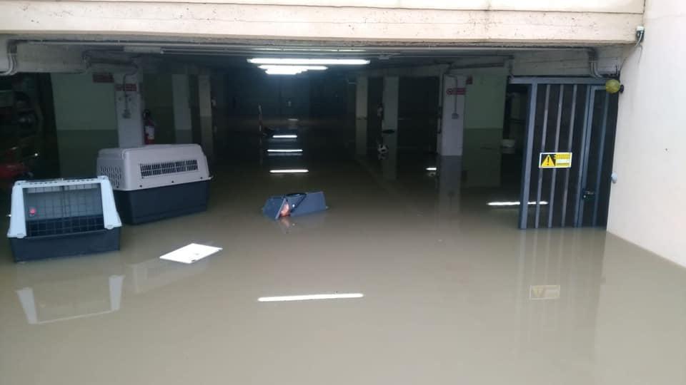 Cantine e garage allagate a Casalguidi (foto Gori)
