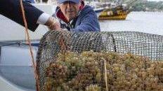 Il vino subacqueo di Antonio Arrighi a “Mi manda Rai 3”