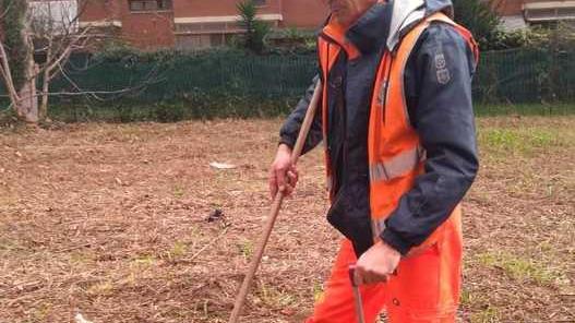 Invasione di sterpaglie e foglie tre interventi su piazze e strade