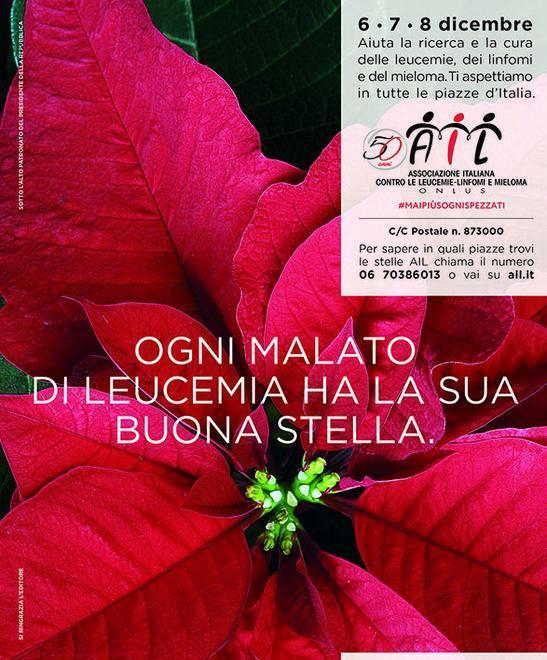 Stelle di Natale dell’Ail per combattere i tumori