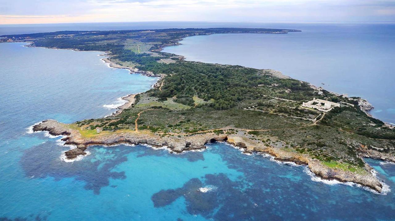 Natura, passeggiate stelle e... silenzio: il Capodanno a Pianosa