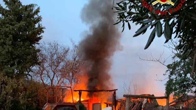 Incendio in una baracca: cane salvato dai vigili del fuoco
