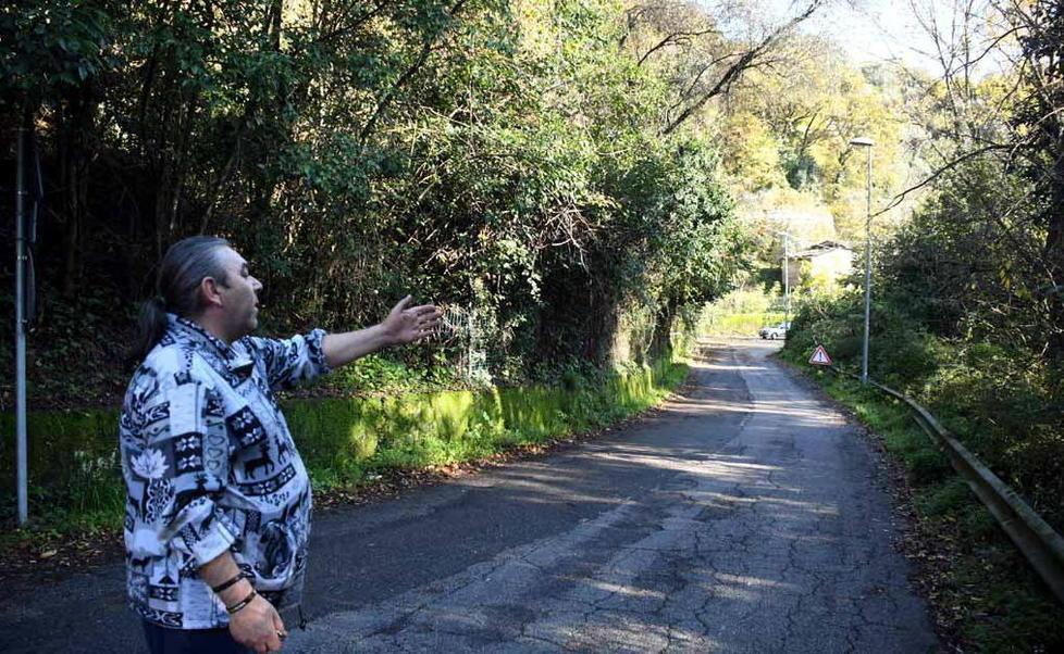 Crolla un grosso albero e in via Dei Campi esplode la protesta