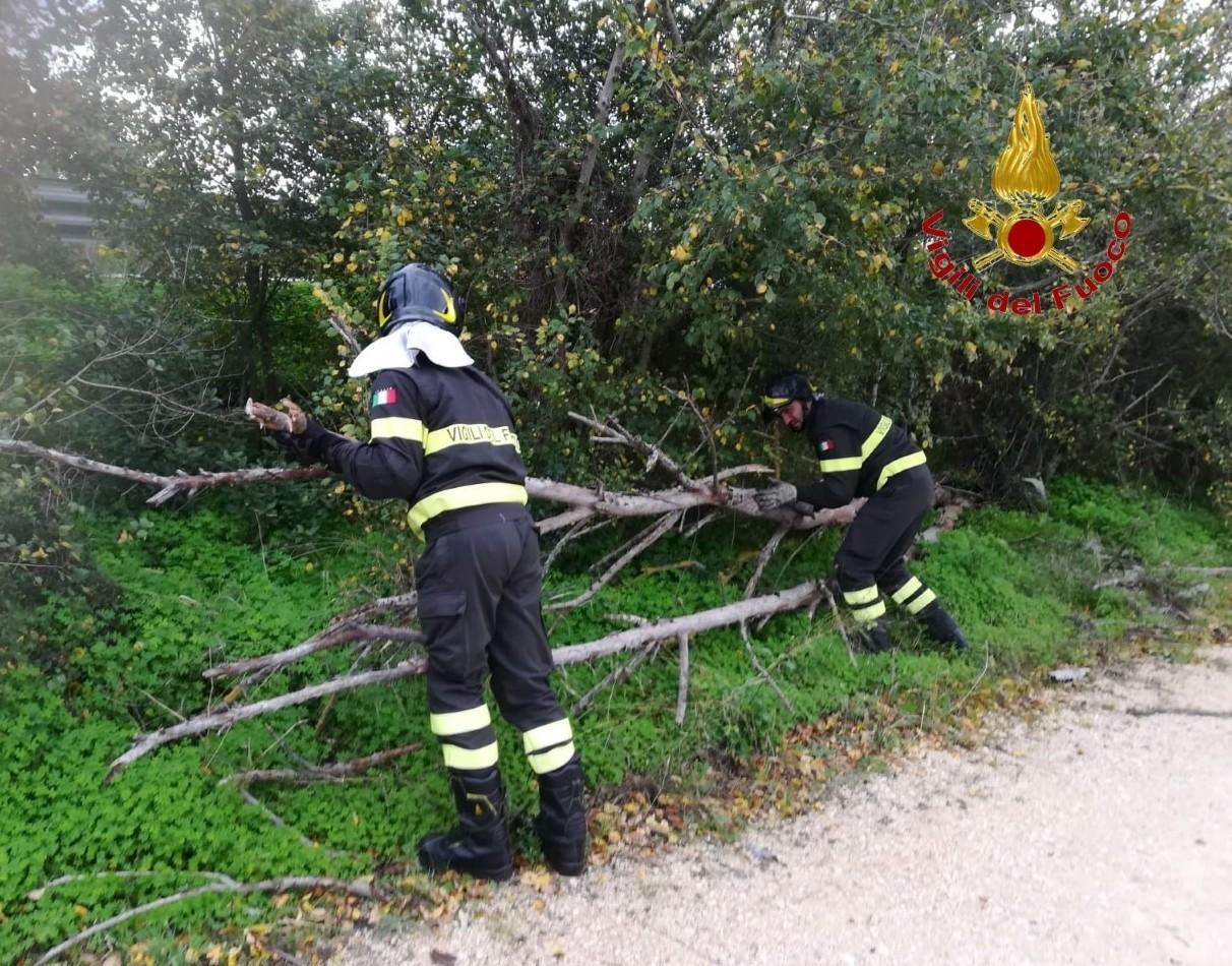 Settanta interventi per i danni del vento 