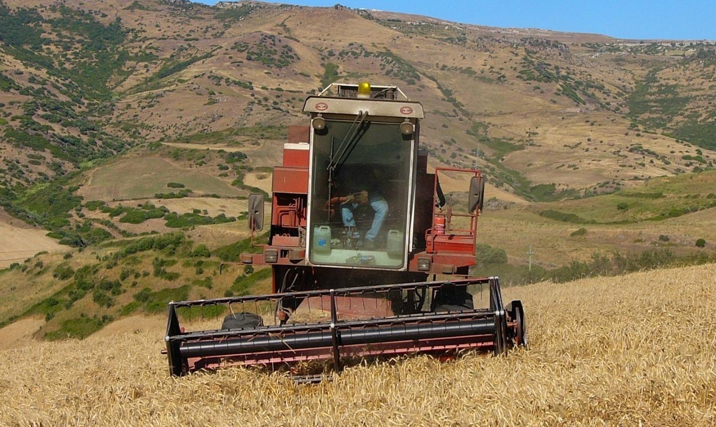 Agricoltura, la Sardegna rischia di perdere 900 milioni di contributi 