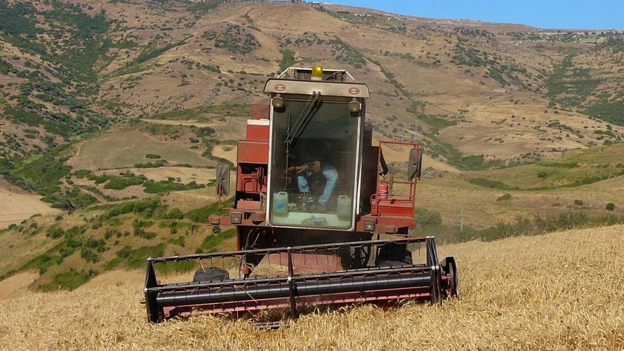 Agricoltura, la Sardegna rischia di perdere 900 milioni di contributi 