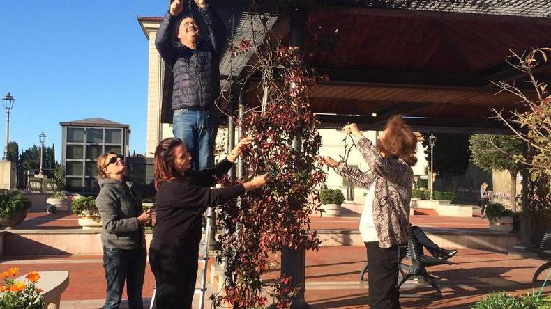 Tredici amiche, un’intuizione e tanta energia: è di nuovo Natale con le donne dell’albero