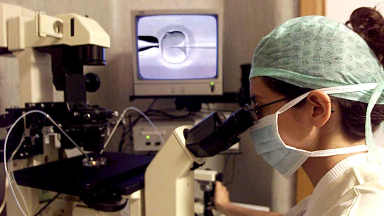 Rivoluzione genetica, il Dna oggi si può riparare grazie a un "dono" dei batteri