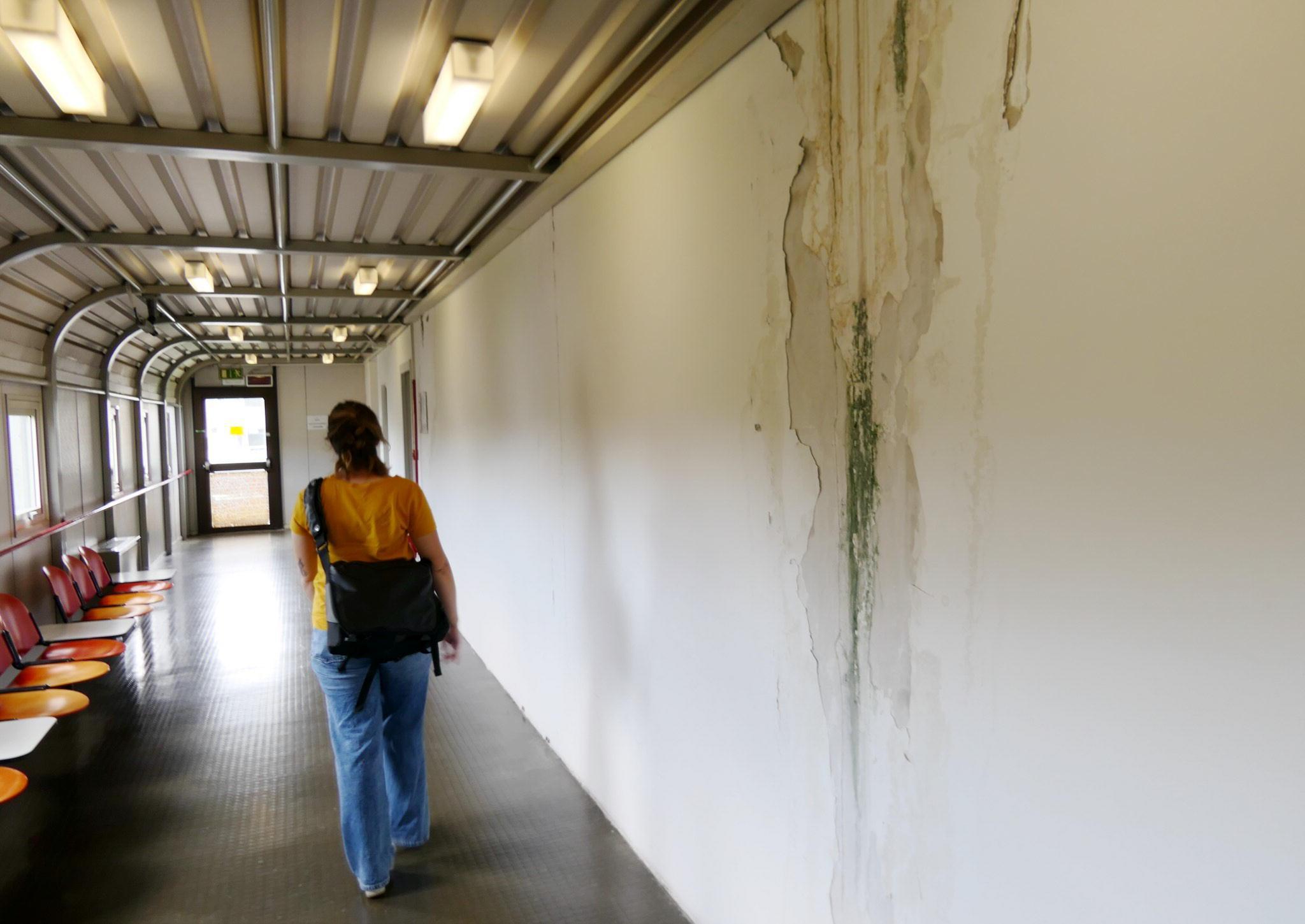 Una macchia di umidità nel corridoio al secondo piano del Palazzo di giustizia
