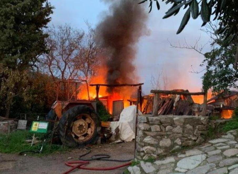 Incendio nella baracca Un cane messo in salvo dai vigili del fuoco