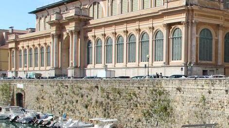 Scoprire Dedo in battello e sulla via di casa