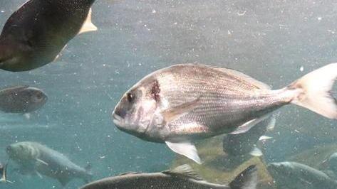 I luoghi più belli in bicicletta e all’Acquario