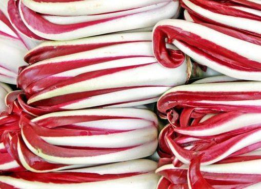 Radicchio rosso protagonista Antica mostra e cooking show