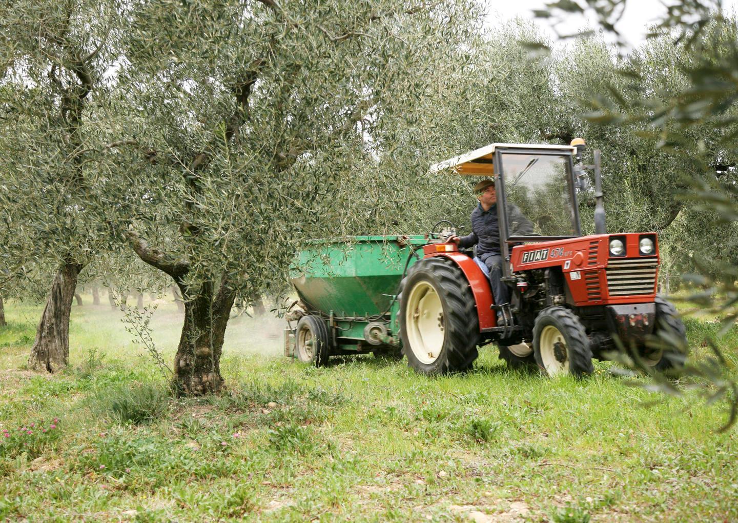 Argea, sì alla task force ma la commissione rinvia 