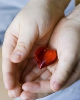 Lotzorai, un memorial dedicato alla donazione degli organi