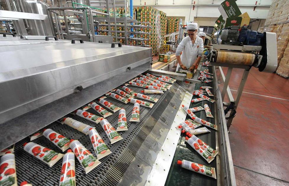 A Barilla piace Italian Food, la fabbrica del pomodoro 
