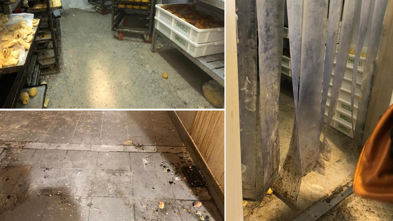 Sporco ovunque e anche un topo morto: chiude laboratorio-pasticceria che fornisce decine di bar 