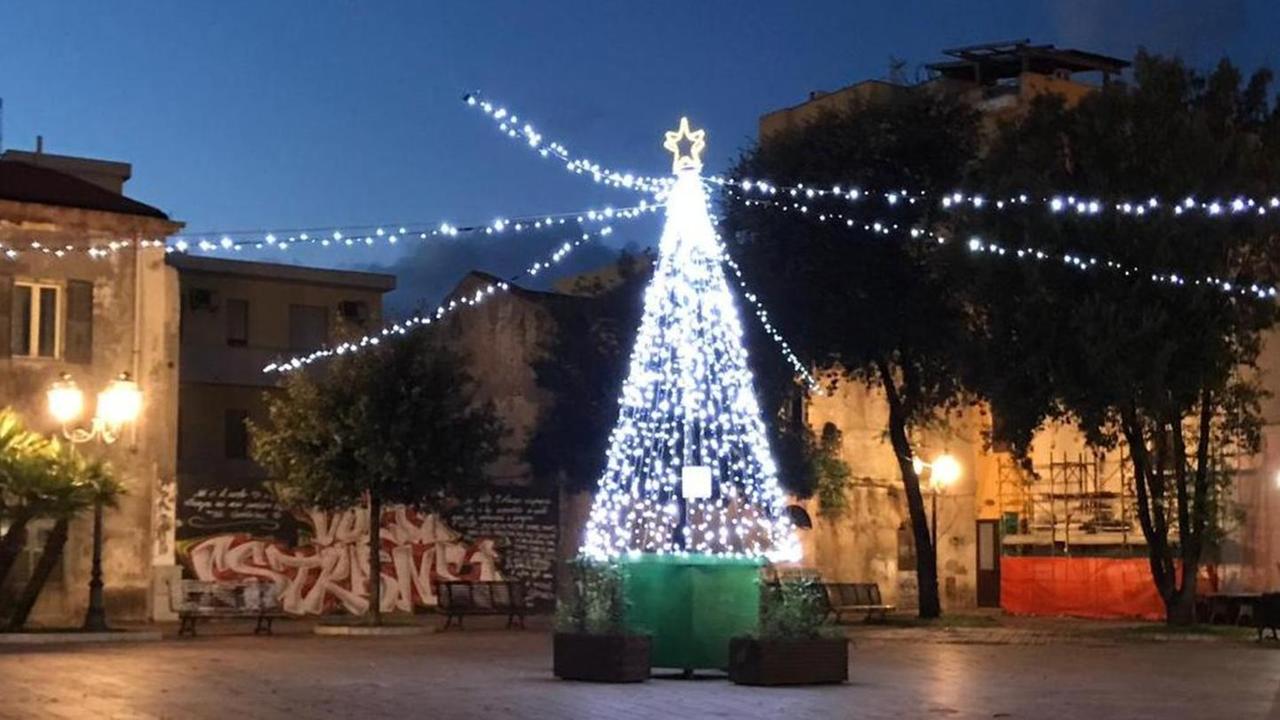 Albero di Natale in piazza Garibaldi 