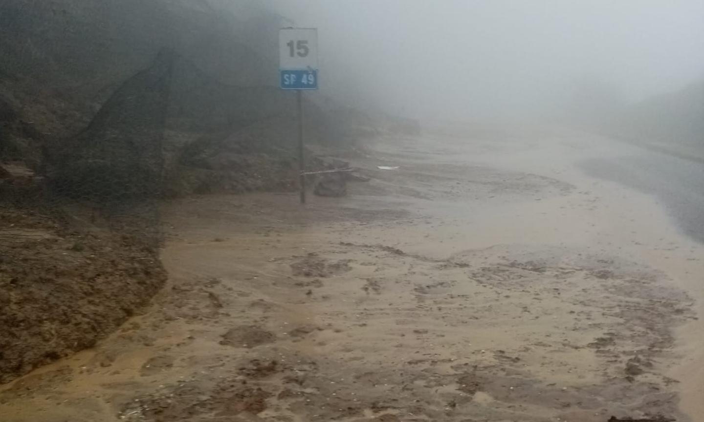 Planargia isolata, via alla mobilitazione 