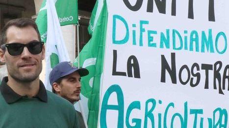 Agrinsieme dal ministro per il flagello delle cimici