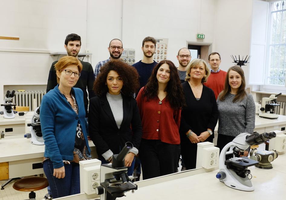 Il recupero di azoto e fosforo dalle acque sporche con l’alga 