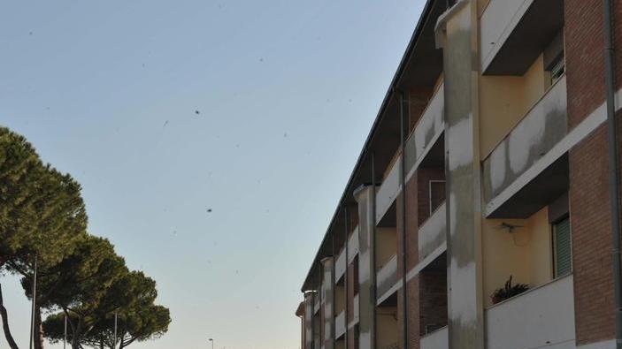 Case popolari, nel 2020 in arrivo un nuovo bando