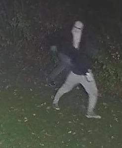 Filma i ladri in giardino dopo il furto dal vicino 
