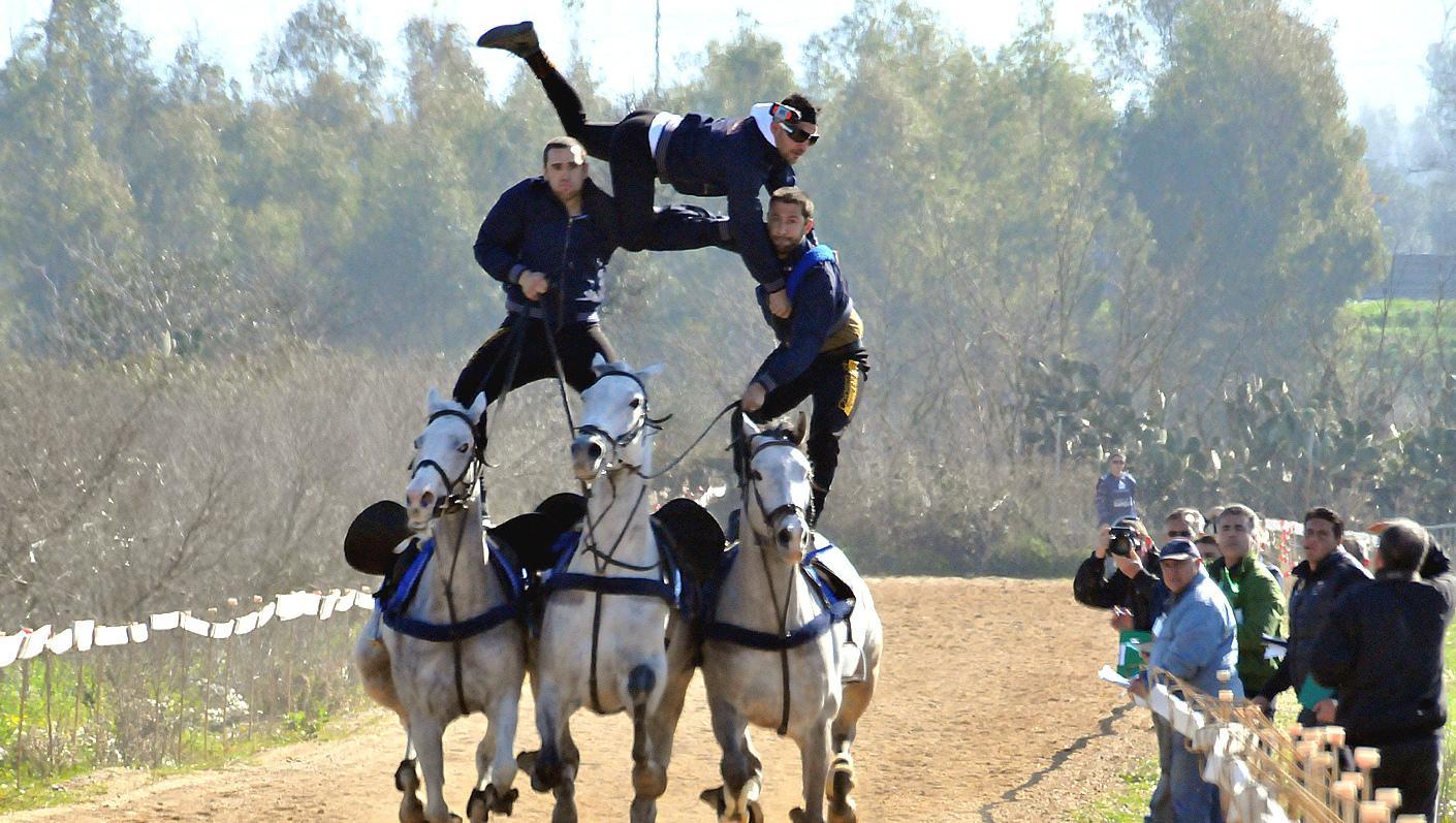 Sartiglia, i cavalieri in pista 