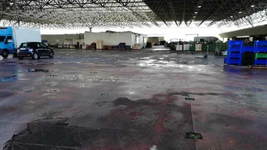 Le Jare, il futuro è incerto E al mercato di Massa ci piove dentro