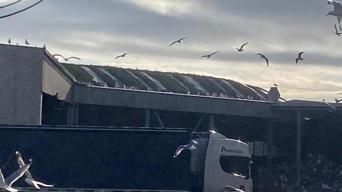 Camion al lavoro nell’area di Geofor destinata alla raccolta del rifiuto organico