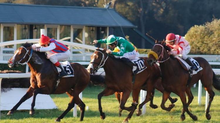Steeple chase e corse in piano spettacolo a San Rossore Il Balorain a Quinze de la Rose