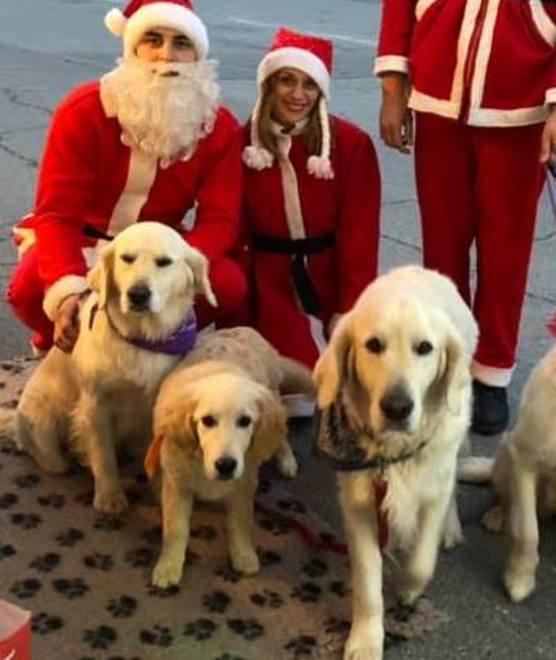 Spettacoli per tutti i gusti e camminata con i cani 