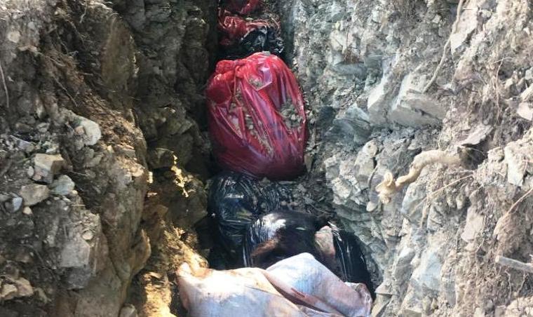 Rifiuti insieme ai cinghiali uccisi, bonificata la fossa a Siniscola