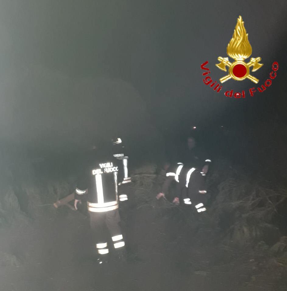 Molti gli alberi abbattuti nel nuorese a causa del forte vento