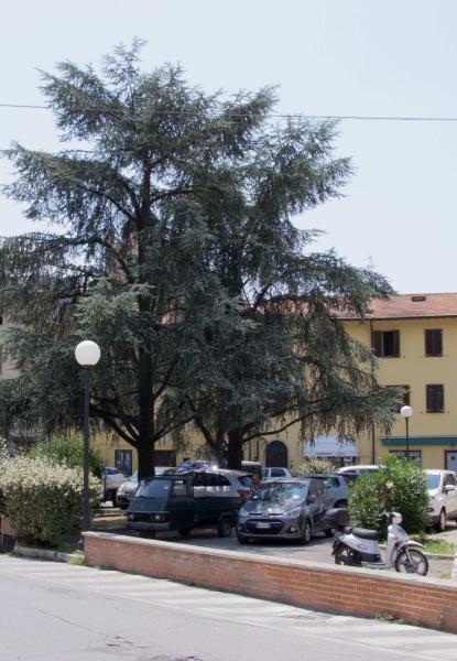 Verrà rifatta la piazza dell’oratorio “Il Colosseo”