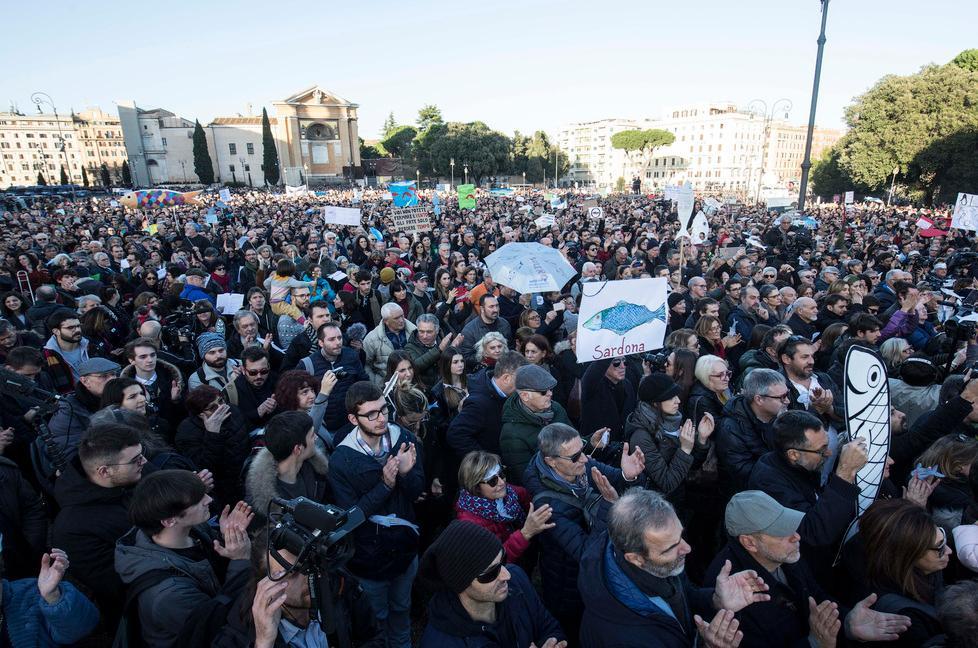 Arrivano le sardine: ecco il vademecum 