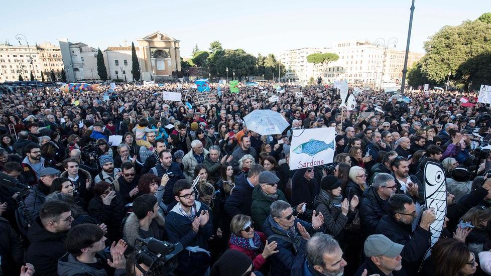 Arrivano le sardine: ecco il vademecum