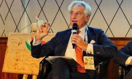 Manovre anticrisi Cso Italy invita le aziende ad esportare